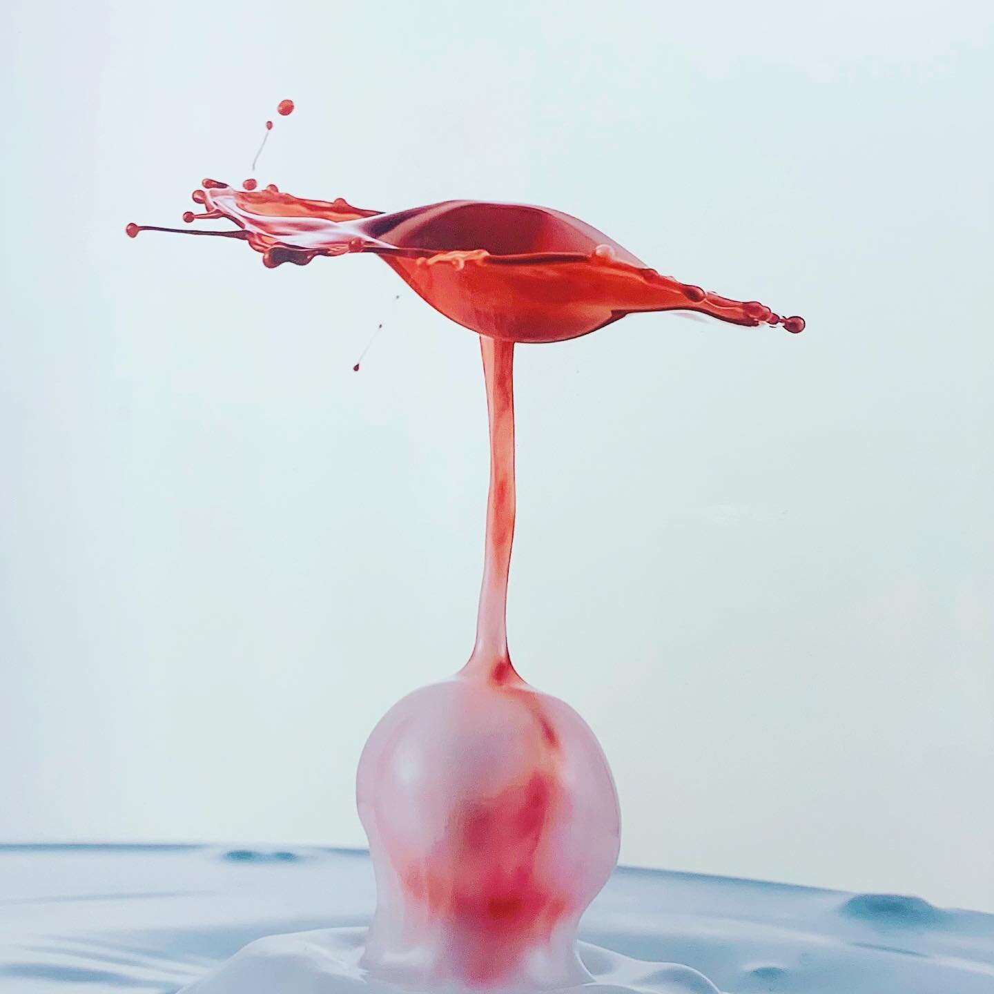 Happy Valentine&rsquo;s Day! Come check out Lars King&rsquo;s sexy &ldquo;Splash&rdquo; exhibit today! #mu&ntilde;ecaarthouse #splash #macro #photography #water #droplets #red #sexy